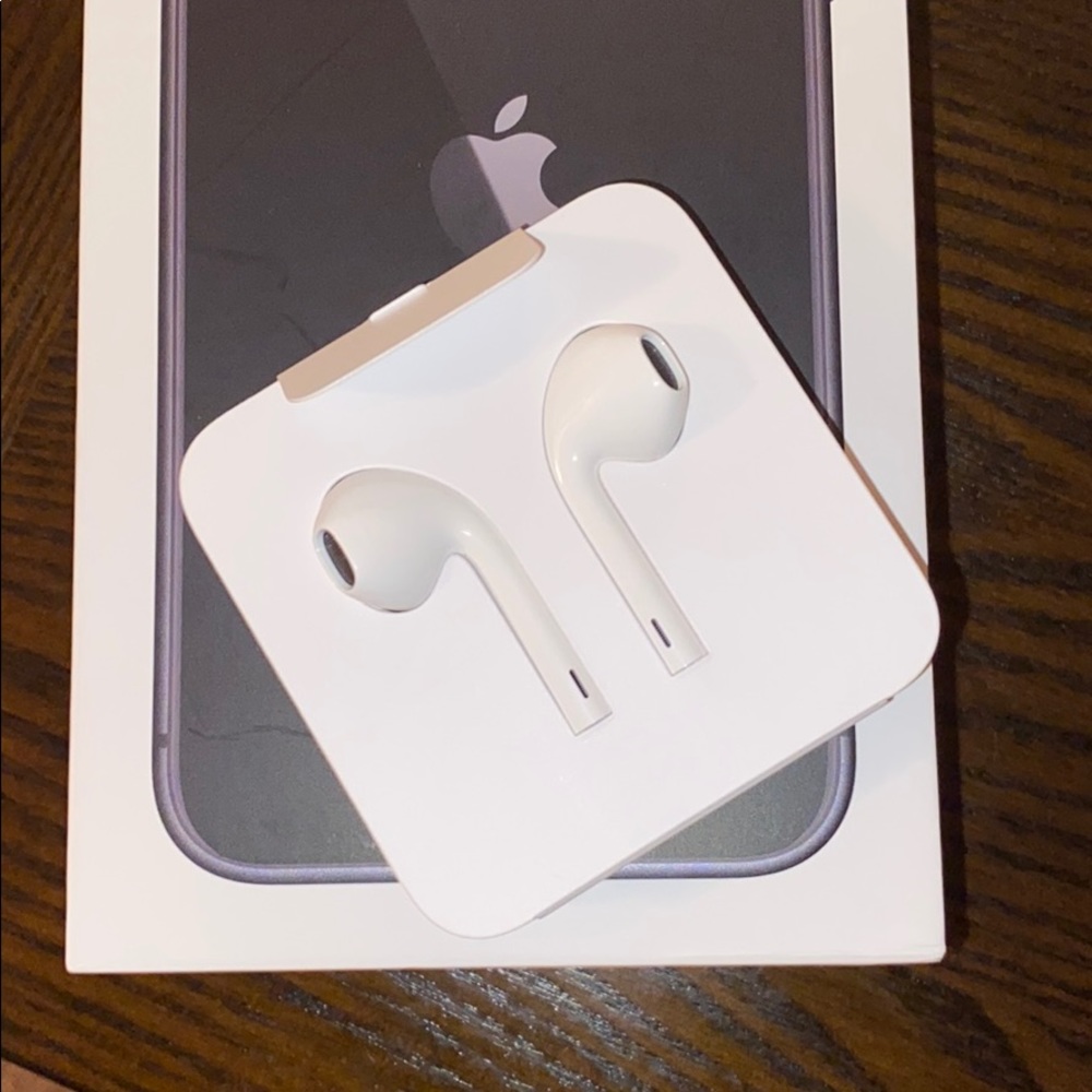 Apple Headphones